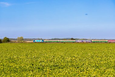 Mavi tren uzaktaki bir ormandan geçer. Yüksek kalite fotoğraf