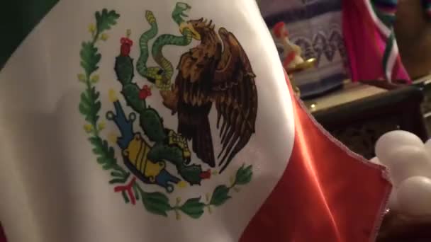 Bandera Mexico — Stockvideo