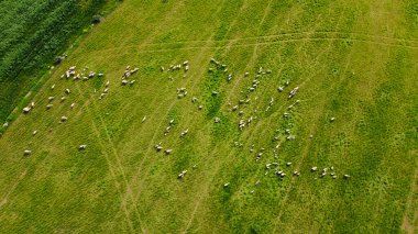 İspanya kırsalının nefes kesici hava manzarası