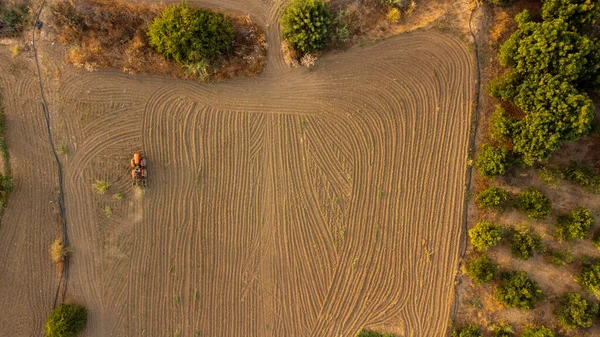 İspanyol ekin tarlalarının harika manzarası