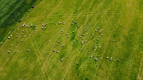 İspanya kırsalının nefes kesici hava manzarası