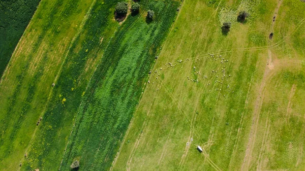 İspanya kırsalının nefes kesici hava manzarası