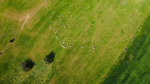 İspanya kırsalının nefes kesici hava manzarası