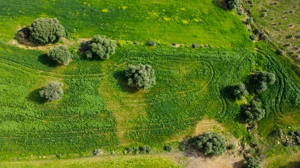 İspanya kırsalının nefes kesici hava manzarası