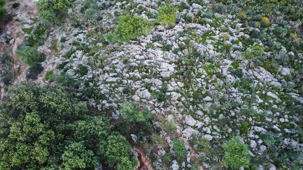 İspanyol ekin tarlalarının harika manzarası