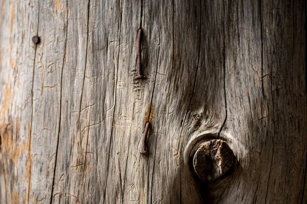 Çivi çatlakları olan eski ahşap bir gövde.