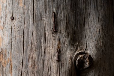 Çivi çatlakları olan eski ahşap bir gövde.