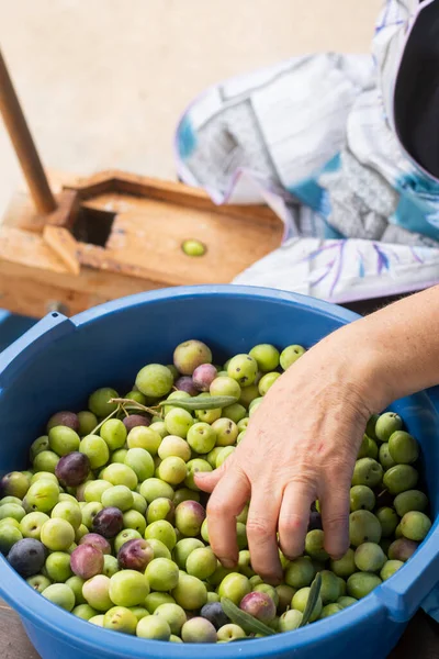 Zeytinleri daha sonra masada eğlenmek için hazırlıyorum.