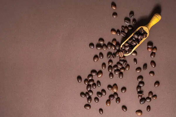 top quality coffee beans ready to be milled