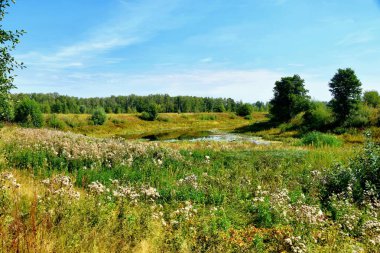 beautiful landscape with green meadow, river and a forest 