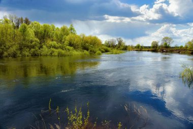 beautiful rural landscape with a river at summer