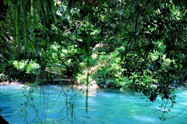 Meksika, Chiapas 'taki Agua Azul' daki görkemli turkuaz şelalelerinin manzarası.
