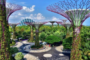 Marina Bay, Singapore - February 19, 2019: The Supertree Grove and Skyway at Gardens by the Bay in Singapore.