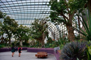 Singapur, Singapur - 19 Şubat 2019 İnsanlar Çiçek Kubbesi ve Bulut Ormanı 'nı ziyaret ediyor