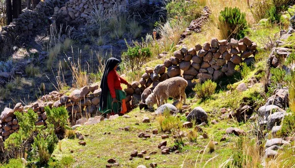Taquile Island Peru June 2015 Αγροτική Ζωή Περουβιανών Χωρικών Από — Φωτογραφία Αρχείου