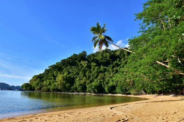beautiful view of the sandy beach on the topical island at Philippines 