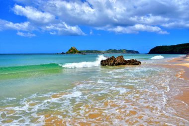 Filipinler 'de mavi suyu ve palmiye ağaçları olan kumsal