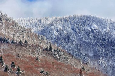 beautiful nature landscape of the mountains in the Rhone region, France