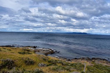 Punta Arenas, Şili 'de güzel bir okyanus manzarası ve kayalık bir sahil.