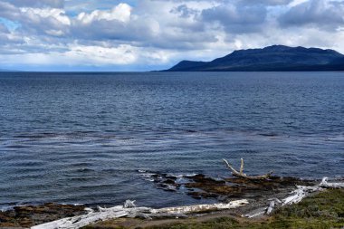 Punta Arenas, Şili 'de güzel bir okyanus manzarası ve kayalık bir sahil.