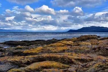 Punta Arenas, Şili 'de güzel bir okyanus manzarası ve kayalık bir sahil.
