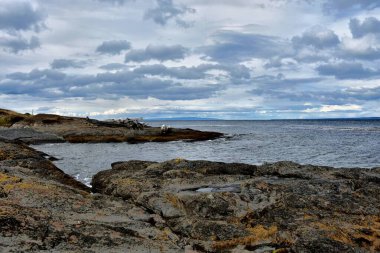 Punta Arenas, Şili 'de güzel bir okyanus manzarası ve kayalık bir sahil.