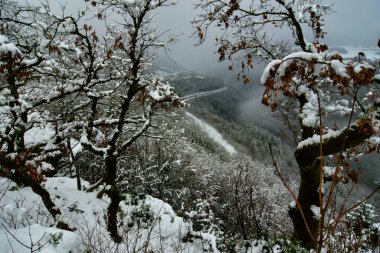 Güzel orman nehri manzaralı Valserine kışın