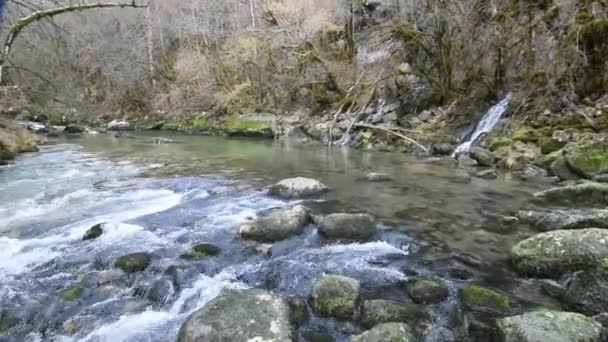 Άγριος Ορεινός Ποταμός Στις Γαλλικές Άλπεις Περιοχή Λυών — Αρχείο Βίντεο