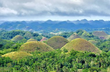 çikolata hills, bohol Adası, Filipinler