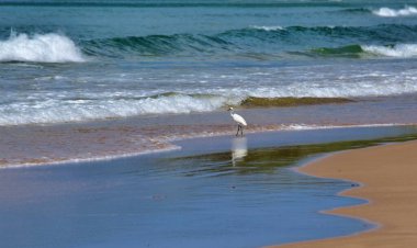 Beautiful view on tropical Napsan Beach at Puerto Princesa, Palawan, Philippines