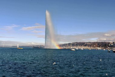 İsviçre Cenevre 'nin sembolü Jet d' eau Foutain.