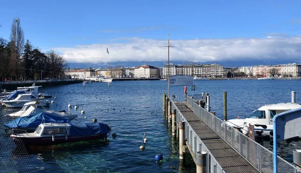 Genf Svájc 2023 Február Hajók Genfi Kikötőben Leman Svájc — Stock Fotó