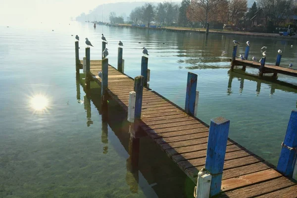 フランス アヌシー湖の孤独な湖の桟橋で美しい景色 — ストック写真