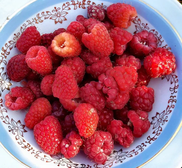Fresh Ripe Red Raspberries White Plate — Stock Photo, Image