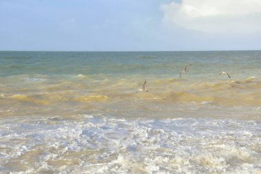 Manş Denizi 'nin güzel manzarası. Fransa' nın kuzeyinde Normandiya 'da dalgalar, rüzgar ve bulutlar..