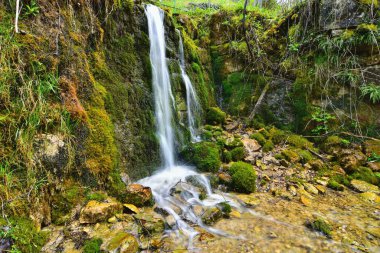 Güzel orman nehri Valserine İlkbaharda Rhone-Alpes, Fransa 'da