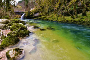 Güzel orman nehri Valserine İlkbaharda Rhone-Alpes, Fransa 'da