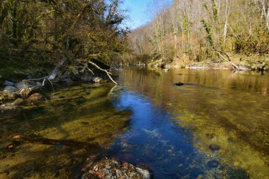 Güzel orman nehri Valserine İlkbaharda Rhone-Alpes, Fransa 'da