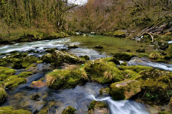 Belle Rivière Forestière Valserine Printemps Rhône Alpes France — Photo