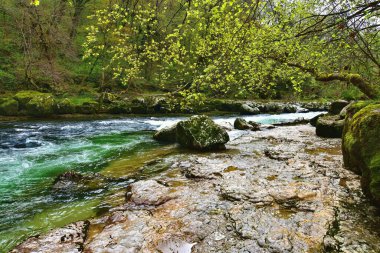 Dağ nehri Valserine İlkbaharda Rhone-Alpes, Fransa