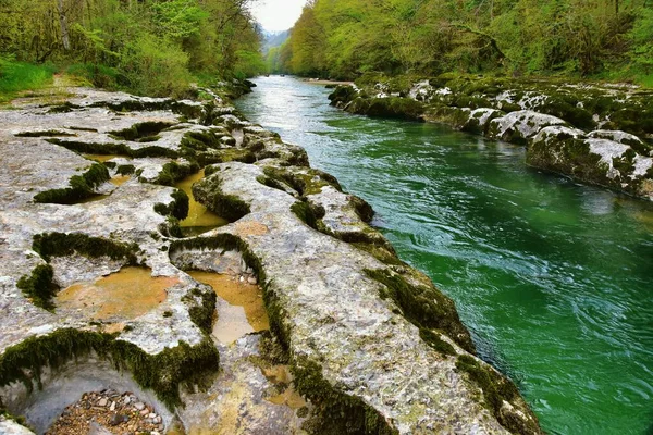 stock image Valserine river in Rhone-Alpes, France during spring