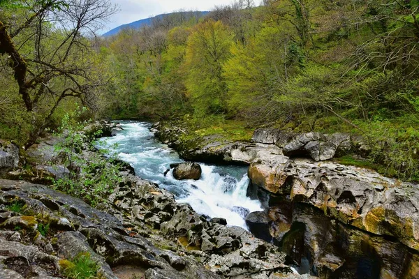 Bergsfloden Valserine Våren Rhône Alpes Frankrike — Stockfoto