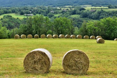 Auvergne Rhone Alpes bölgesi. Magland komün Haute-Savoie bölümü. Yaz manzara