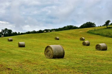 Auvergne Rhone Alpes bölgesi. Magland komün Haute-Savoie bölümü. Yaz manzara