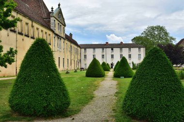 Bourg-en-Bresse, Fransa - 09 Haziran 2023: Brou Kraliyet Manastırı, 1532 yılında inşa edildi, Bourg en Bresse kasabası, Ain, Fransa Bölümü