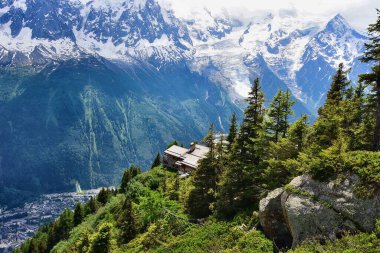 Yazın Mont Blanc dağlarıyla birlikte Praz planından Alp manzarası