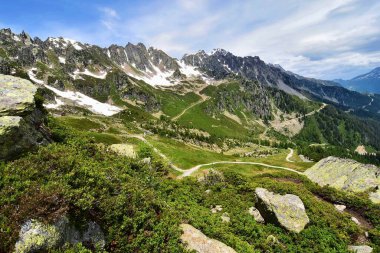 Yazın Mont Blanc dağlarıyla birlikte Praz planından Alp manzarası