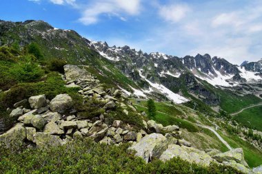 Yazın Mont Blanc dağlarıyla birlikte Praz planından Alp manzarası