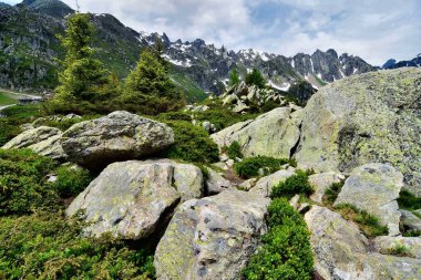 Yazın Mont Blanc dağlarıyla birlikte Praz planından Alp manzarası