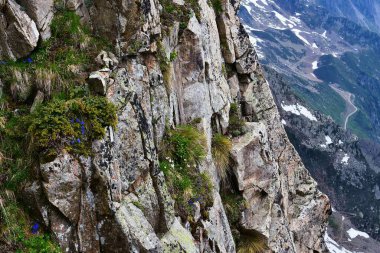 Plan de l 'Aiguille' un güzel doğa manzarası Mont Blanc dağları yığını